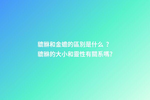 貔貅和金蟾的區別是什么？貔貅的大小和靈性有關系嗎？